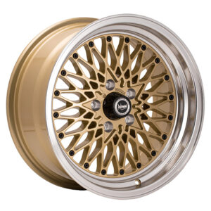 PERFORMANCE FORMULA – GOLD